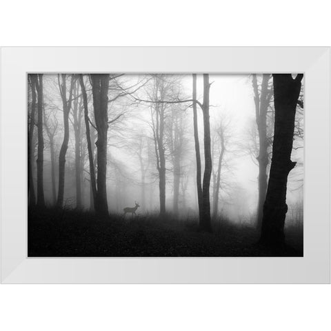 Forest White Modern Wood Framed Art Print by Nisan Kandilcioglu, Ummu