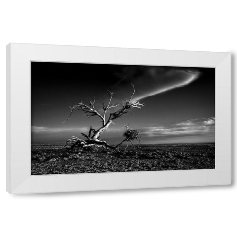 Salton Sea Sculpture White Modern Wood Framed Art Print by Darby, Rob