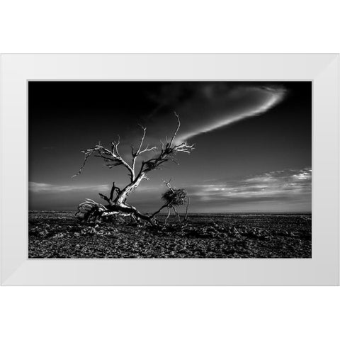 Salton Sea Sculpture White Modern Wood Framed Art Print by Darby, Rob