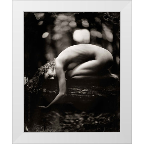 Fredau 2 White Modern Wood Framed Art Print by van Hal, Peter