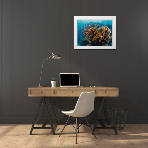 Reefscape White Modern Wood Framed Art Print by Ben Tov, Ilan