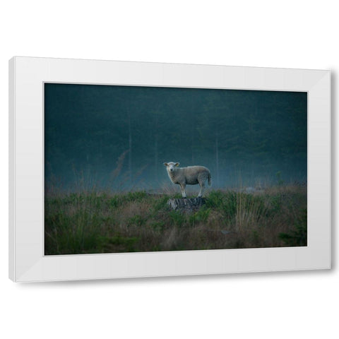 Moody Sheep White Modern Wood Framed Art Print by Lindsten, Christian