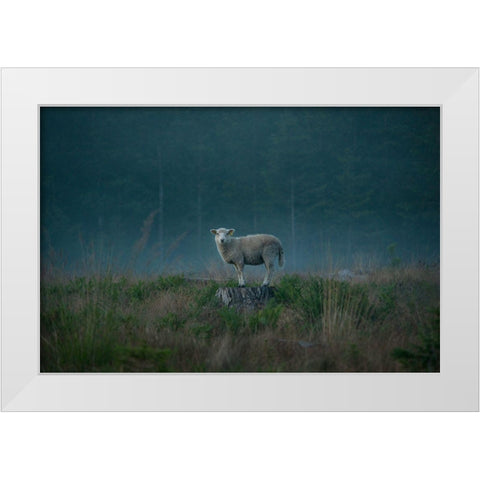 Moody Sheep White Modern Wood Framed Art Print by Lindsten, Christian