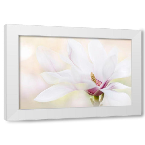 Purity White Modern Wood Framed Art Print by Parker, Jacky