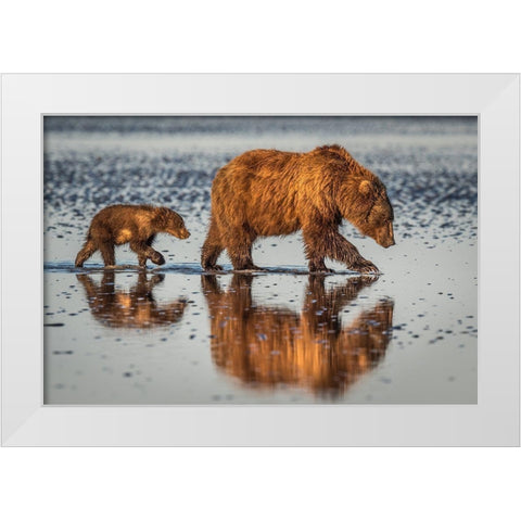 Beauty And The Beast White Modern Wood Framed Art Print by C. Sink, Jeffrey