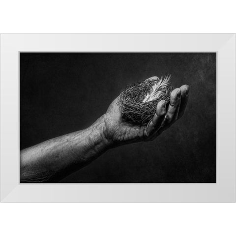 Untitled White Modern Wood Framed Art Print by Clough, Stephen