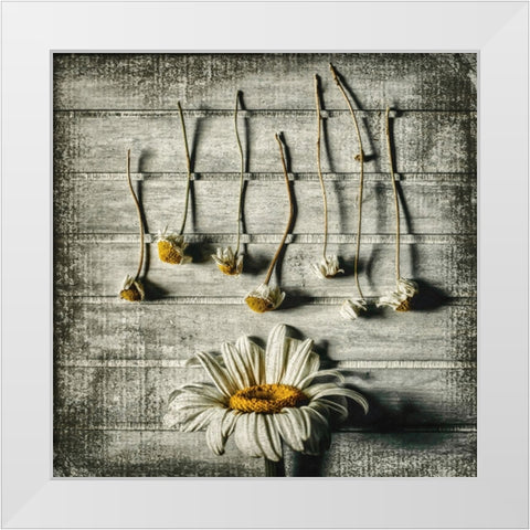 Survival White Modern Wood Framed Art Print by Petkova, Evelina