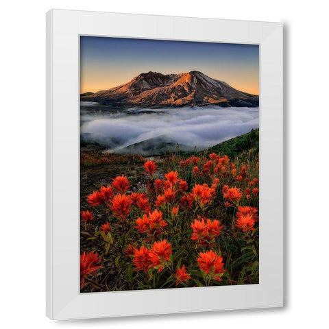 Blooming White Modern Wood Framed Art Print by Jacobs, Lydia