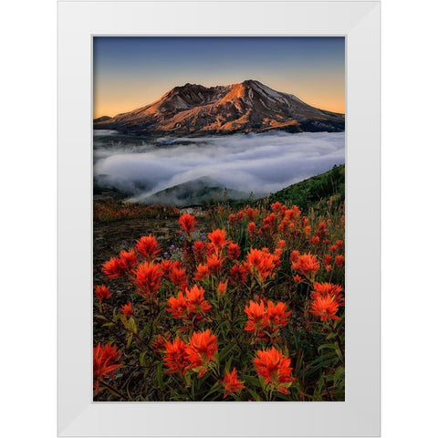 Blooming White Modern Wood Framed Art Print by Jacobs, Lydia