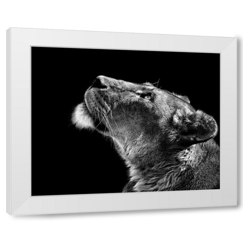 Looking Up White Modern Wood Framed Art Print by Meermann, Christian