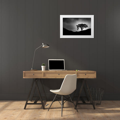 Lone Tree White Modern Wood Framed Art Print by Meermann, Christian