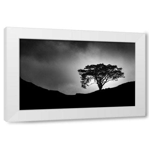 Lone Tree White Modern Wood Framed Art Print by Meermann, Christian