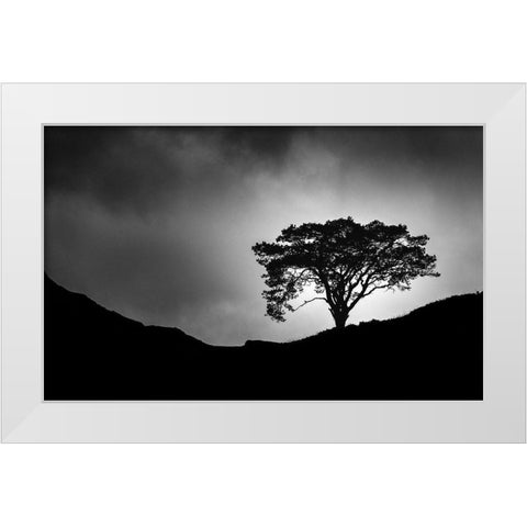 Lone Tree White Modern Wood Framed Art Print by Meermann, Christian