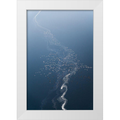 Tree Of Flamoingos White Modern Wood Framed Art Print by Fan, John