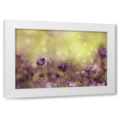 Purple Dream White Modern Wood Framed Art Print by Devos, Delphine