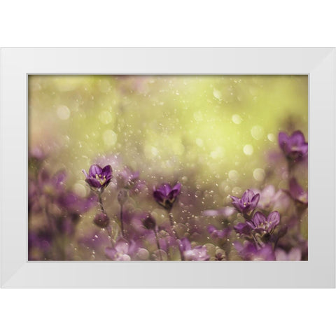 Purple Dream White Modern Wood Framed Art Print by Devos, Delphine