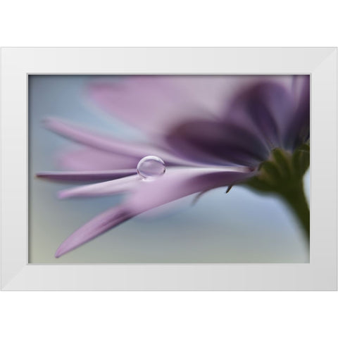 The Peaceful Drop White Modern Wood Framed Art Print by Westum, Heidi