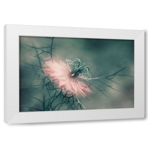 The Virgin White Modern Wood Framed Art Print by Westum, Heidi