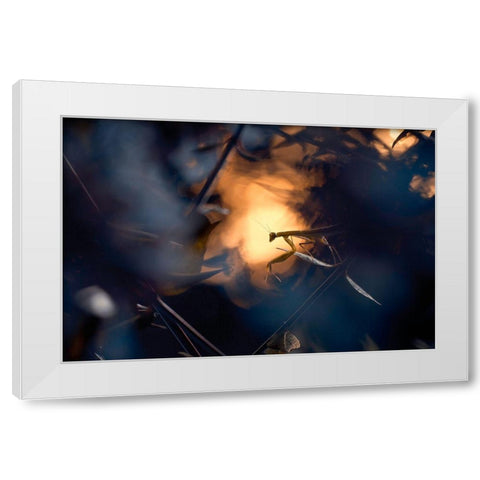 Wormhole Distorsion White Modern Wood Framed Art Print by Bravin, Fabien