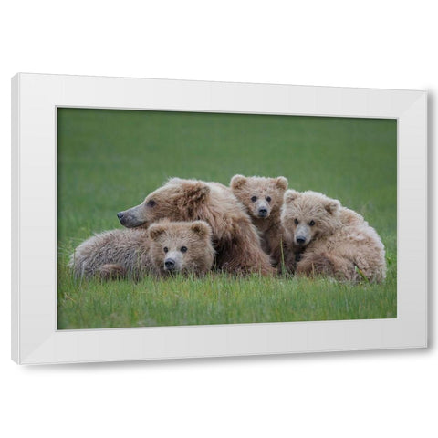 Bear Huddle White Modern Wood Framed Art Print by Doyle, Renee
