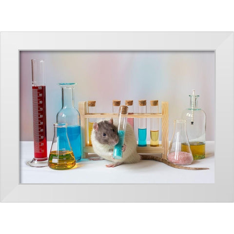 Qworkingq At The Lab White Modern Wood Framed Art Print by Van Deelen, Ellen