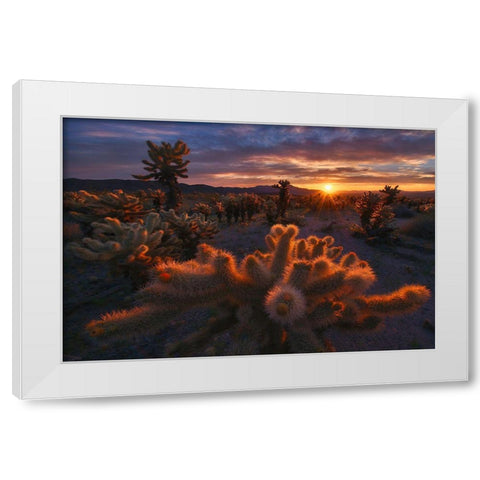 Cholla Garden White Modern Wood Framed Art Print by Cia, Inigo