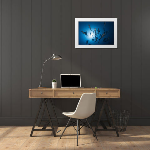 Hammerhead Shark - Underwater Photography White Modern Wood Framed Art Print by Gabriel, Barathieu