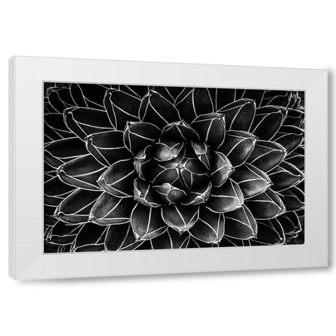 Natural Math White Modern Wood Framed Art Print by Valentina Patrascoiu, Monica