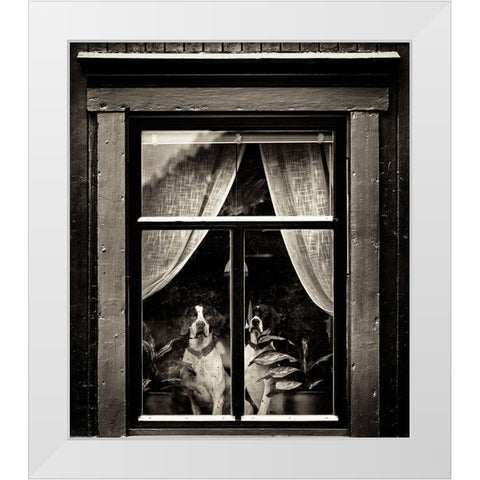 Dogs White Modern Wood Framed Art Print by Oncete, Julien
