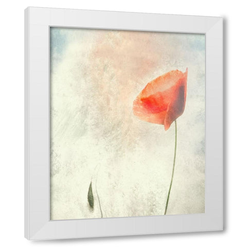 We Should Not Sleep... White Modern Wood Framed Art Print by Claes, Gilbert