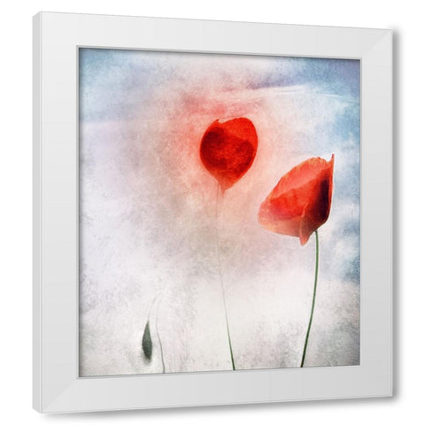 In Flanders Fields White Modern Wood Framed Art Print by Claes, Gilbert