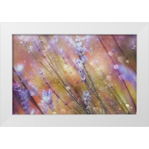 Something Magical White Modern Wood Framed Art Print by Devos, Delphine