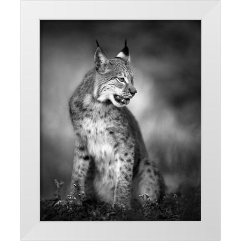 U N I Q U E White Modern Wood Framed Art Print by Fegari