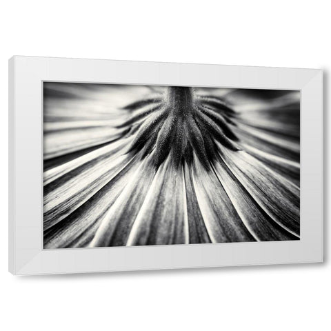 Feeling Down White Modern Wood Framed Art Print by Van Der, Corinna