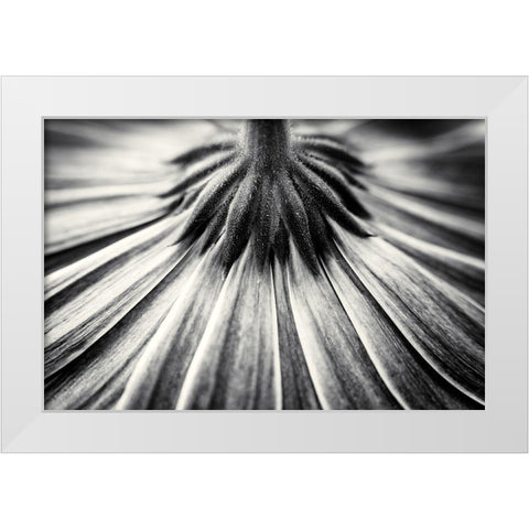 Feeling Down White Modern Wood Framed Art Print by Van Der, Corinna