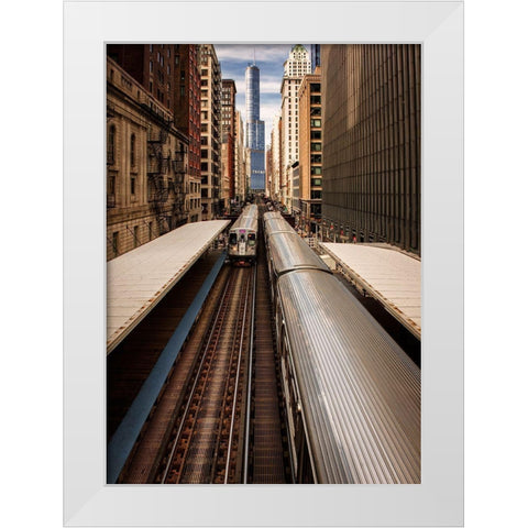 Center Of Attention White Modern Wood Framed Art Print by Kinney, Jon