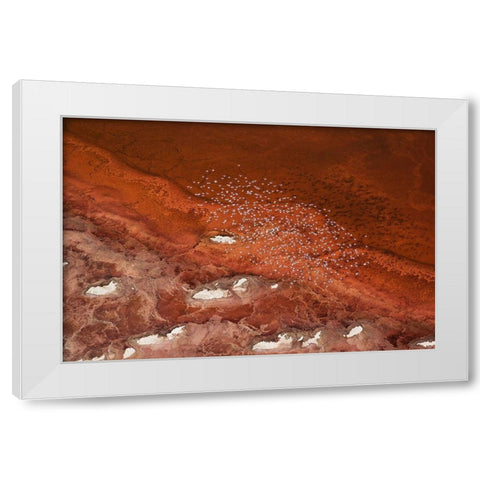 The Overlook White Modern Wood Framed Art Print by Chang, Phillip