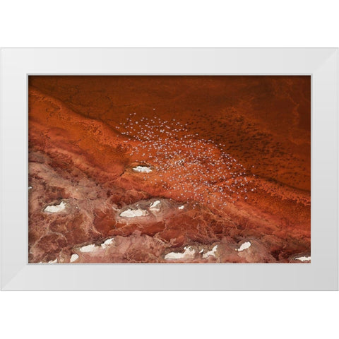 The Overlook White Modern Wood Framed Art Print by Chang, Phillip