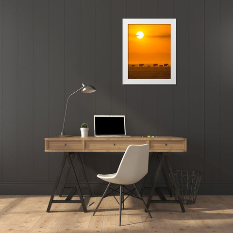 Elephants At Sunset White Modern Wood Framed Art Print by Taylor, Ted