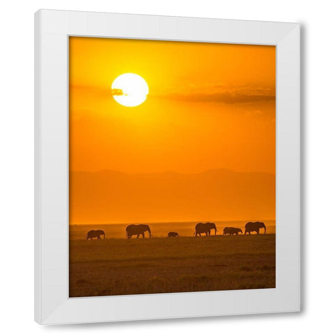 Elephants At Sunset White Modern Wood Framed Art Print by Taylor, Ted