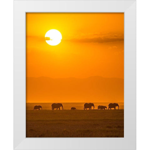 Elephants At Sunset White Modern Wood Framed Art Print by Taylor, Ted