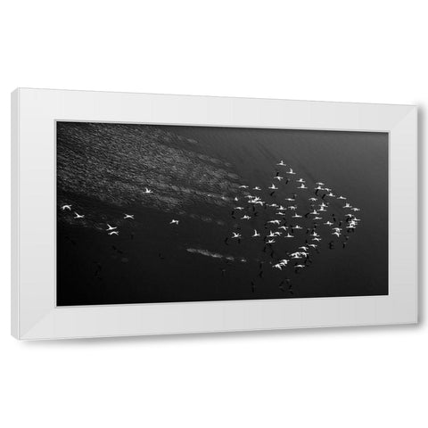 Take Off White Modern Wood Framed Art Print by Fan, John