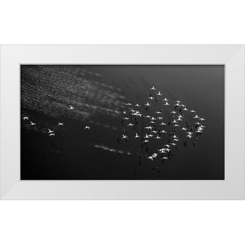 Take Off White Modern Wood Framed Art Print by Fan, John