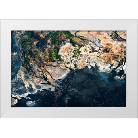 Splendid Africa White Modern Wood Framed Art Print by Fan, John