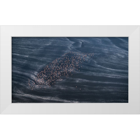 Wave Runner Ii White Modern Wood Framed Art Print by Fan, John