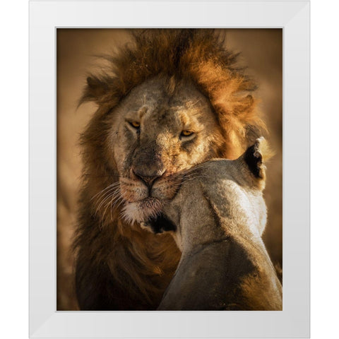 Give Me Some Love White Modern Wood Framed Art Print by Alnomas, Faisal