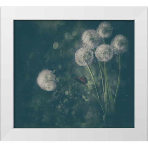 It Was A Rainy Day... White Modern Wood Framed Art Print by Devos, Delphine