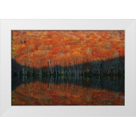 Shadow Fade Away White Modern Wood Framed Art Print by Shibata, Sho