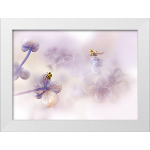Hello There... White Modern Wood Framed Art Print by Van Deelen, Ellen