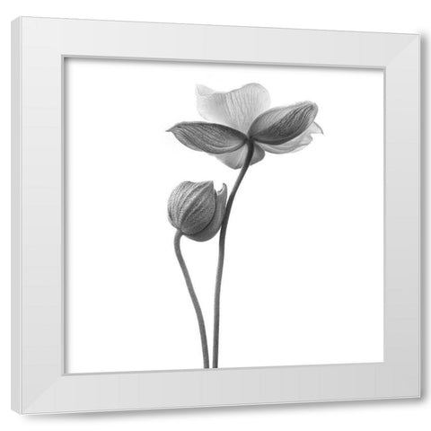 A Little Touch - Monochrome White Modern Wood Framed Art Print by Gronkjar, Lotte